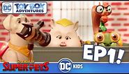 DC League of Super-Pets - Training Day | Episode 1 | DC Toy Box Adventures | @dckids​