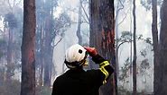 WA's prescribed burning plan is putting rare South West ecosystems at risk