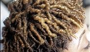 How To: Finger Coils on Natural Hair