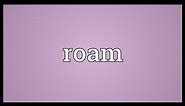 Roam Meaning