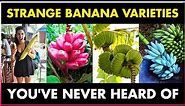 Different Varieties of Banana | Strange Banana Varieties you've Never Heard of