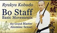 The best Bo Staff Basic | the Grand Master shows you | Ryukyu Kobudo | Ageshio Japan