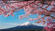 Japan live wallpaper | beautiful mount fuji