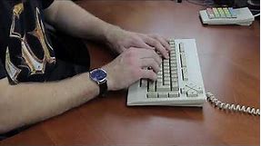 Typing Demo XL - Alps SKCM Brown (Magnavox Videowriter) (ASMR)