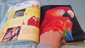 my very first encyclopedia with winner the pooh and friends: animals