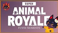Funny moments | Super Animal Royale |