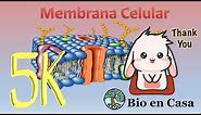 TODO sobre Membrana celular