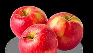 Hunnyz Apple Review - Apple Rankings by The Appleist Brian Frange