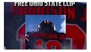 Free Ohio State Clip for Edits #viral #ohiostatefootball #buckeyes #collegefootball #clips