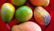 Top 12 Jamaican Fruits We Love - Jamaicans and Jamaica - Jamaicans.com
