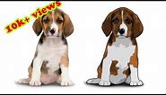 Photoshop Tutorial: Cartoon Effect on Pet Portrait | Filter Effect on Dog portrait |