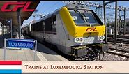 Trains at Gare de Luxembourg (Luxembourg Station) 07/09/2023