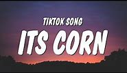 it's corn kid tiktok song (Lyrics) | it's corn, a big lump with knobs, it has the juice