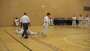 Ippon waza by Andre Bertel (Shotokan Karate)