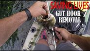 How to Remove a Gut, Gullet Hooked Bass. Saving Fish Lives. Through the Gill Hook Removal