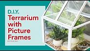 How to Make a Terrarium with Picture Frames | Michaels