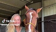 Funny Horse Videos: Relatable Equestrian Humor & Horse Memes