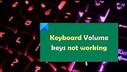 Keyboard Volume keys not working in Windows 11/10