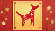Year Of The Dog Chinese Zodiac Personality Traits, Years And Compatibility