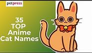 TOP 35 Anime Inspired Cat Names | PetPress