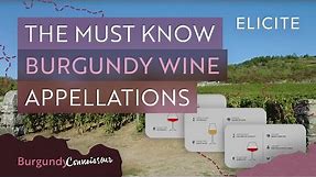The Complete Guide To Key Burgundy Appellations