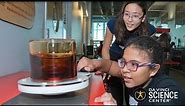 Da Vinci Science Center: Bringing Science to Life