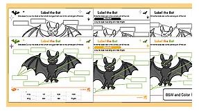 Label the Bat Differentiated Activity for K-2nd Grade
