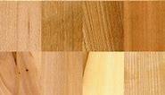 Density of Wood: Why Is an Important Factor ? - Start Woodworking Now