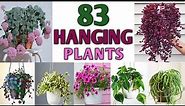 83 Plants for Hanging Basket with Names | Hanging Plants for Balcony | Plant and Planting