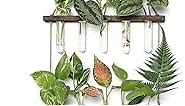 Mkono Plant Propagation Tubes, 3 Tiered Wall Hanging Terrarium with Wooden Stand Mini Test Tube Flower Vase Glass Planter Stations for Hydroponic Cutting Home Garden Office Decor Plant Lover Gift