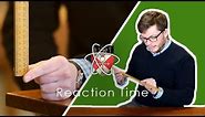 Reaction Time - GCSE Science Required Practical