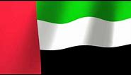 UAE Flag day