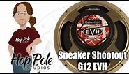 EVH (G12EVH) - METAL Celestion Speaker Comparison
