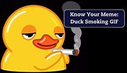 Duck Smoking GIF Explained