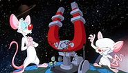 Pinky & The Brain Theme Song