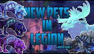 New Hunter Pets | Legion