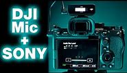 How to set up DJI Mic on a Sony Camera - Settings for Awesome Audio