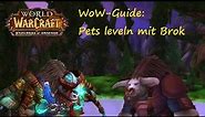 WoW-Guide: Pet-Leveln mit Brok