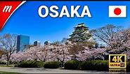 🌸Osaka Castle Nishinomaru Garden Walking Tour | Things to do in OSAKA