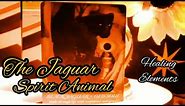 🐾 The Jaguar Spirit 🐾 All about the JAGUAR SPIRIT ANIMAL 🐾 Symbolism & Meaning