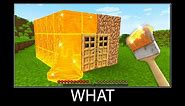 Minecraft wait what meme part 247 realistic Lava House