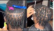 Starter Locs Perfection | Two Strand Twist With Crochet at The Base | Tutorial