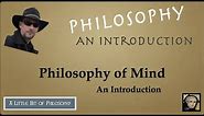 Introduction to Philosophy of Mind