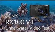Sony RX100 VII Underwater Video Test