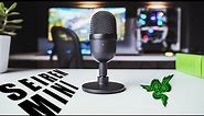 Razer Seiren Mini Review, Sound Test & Unboxing | Best USB Microphone under $50?