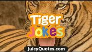 Tiger Jokes For Kids - Clear Jokes About Tigers (Will make you laugh)