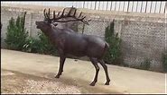 life size deer statue