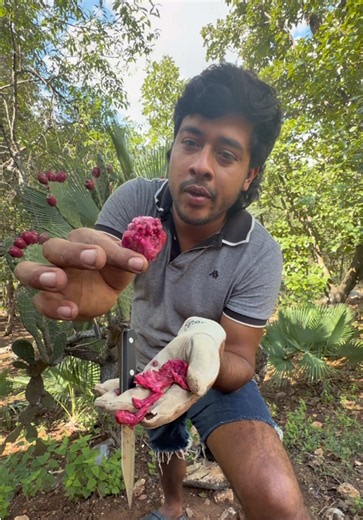 Tunas de monte en Chilpancingo: cómo probarlas y por qué estaban tan dulces
