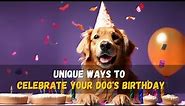 🎂 Dog's Birthday Planning and Ideas 🎂 🎉 🎁