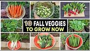 Top 10 Vegetables to grow in Fall & through Winter